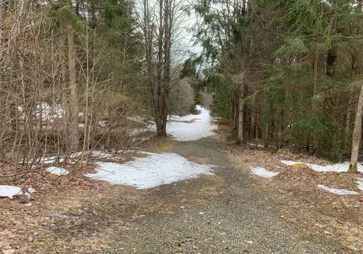 Land for Sale - 60 1er Rang Centre, Notre-Dame-de-Ham, G0P 1C0
