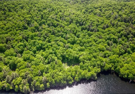 Terrain à vendre -  Lac-des-Écorces, Notre-Dame-de-la-Merci, J0T 1A0