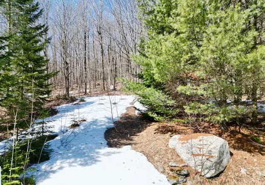 Terrain à vendre - X Ch. de l'Auberge, Valcourt, J0E 1Y0