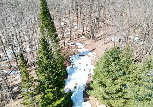 Terrain à vendre - X Ch. de l'Auberge, Valcourt, J0E 1Y0