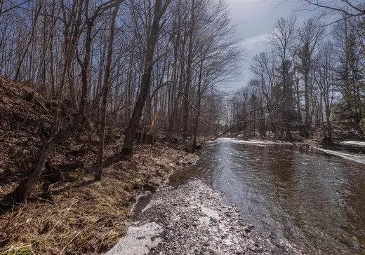 Terrain à vendre -  Allée Bellerive, Magog, J1X 5R9