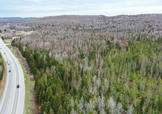 Land for Sale -  Route 117 N., Rivière-Rouge, J0T 1T0