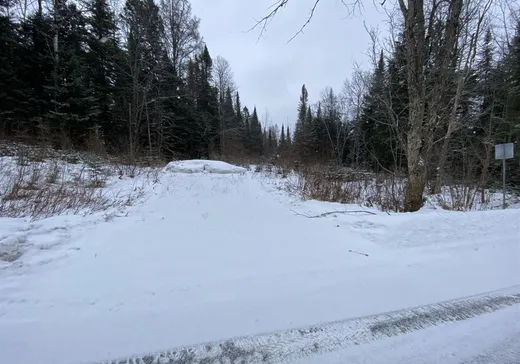 Terrain à vendre -  Mtée Desjardins, Lac Superieur, J0T 1J0