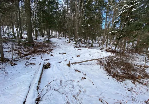 Terrain à vendre -  Mtée Desjardins, Lac Superieur, J0T 1J0