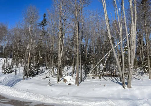 Terrain à vendre -  Ch. du Renard, Saint-Sauveur, J0R1R1