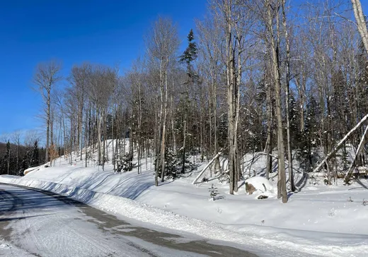 Terrain à vendre -  Ch. du Renard, Saint-Sauveur, J0R 1R1