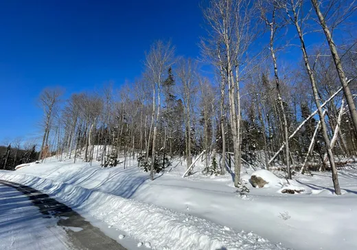 Terrain à vendre -  Ch. du Renard, Saint-Sauveur, J0R 1R1