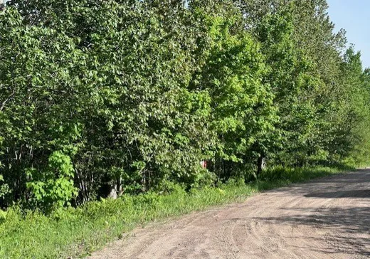 Terrain à vendre -  Ch. du Lac-Nadeau, Mont-Laurier, J9L 3G4
