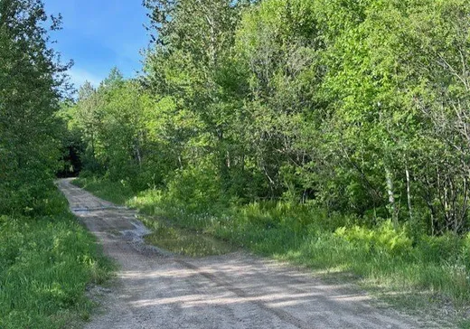 Terrain à vendre -  Ch. du Lac-Nadeau, Mont-Laurier, J9L 3G4