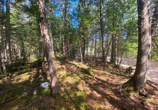 Land for Sale -  2e Rang, St-Romain, G0Y 1L0