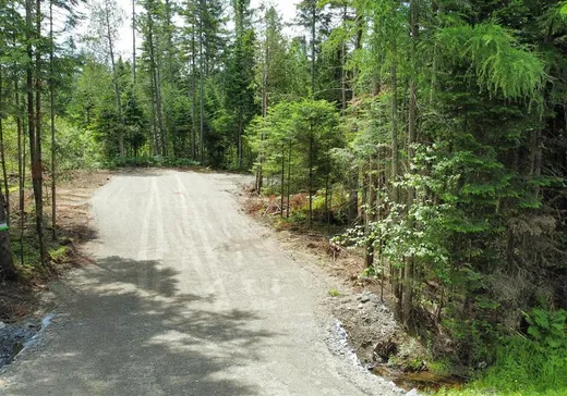 Land for sale - 74 Ch. du Quatre-Milles, Lac-Mégantic, J0B1Y0