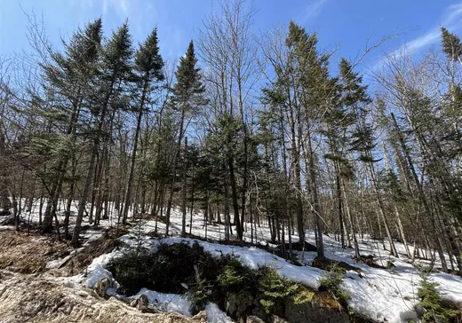 Terrain à vendre -  Ch. des Éperviers, Nominingue, J0W1R0