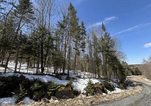 Terrain à vendre -  Ch. des Éperviers, Nominingue, J0W 1R0