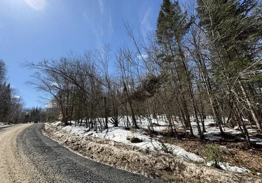 Terrain à vendre -  Ch. des Éperviers, Nominingue, J0W 1R0