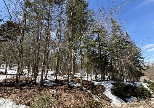 Terrain à vendre -  Ch. des Éperviers, Nominingue, J0W 1R0