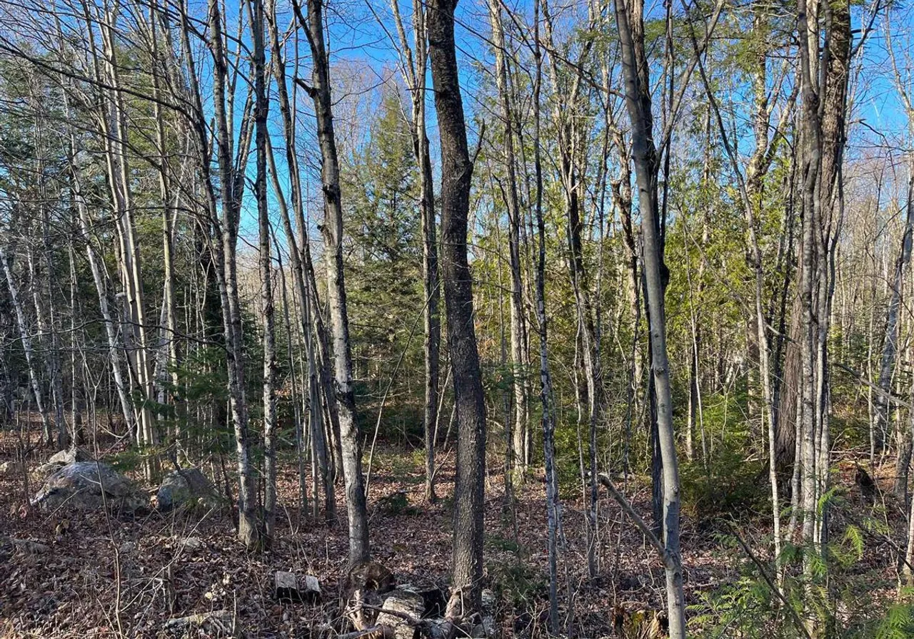 Land for Sale -  Rue de Rawdon Park, Rawdon, J0K 1S0