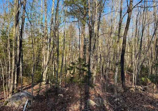 Land for Sale -  Rue de Rawdon Park, Rawdon, J0K 1S0