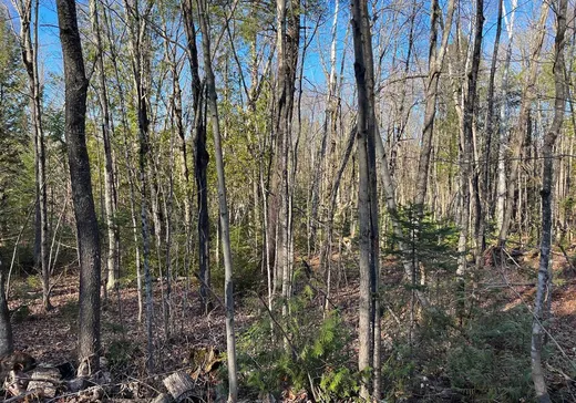 Land for Sale -  Rue de Rawdon Park, Rawdon, J0K 1S0