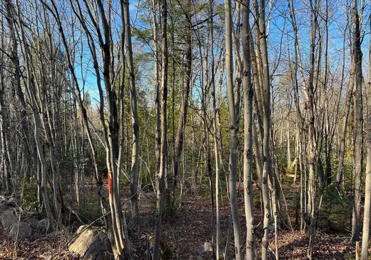 Land for Sale -  Rue de Rawdon Park, Rawdon, J0K 1S0