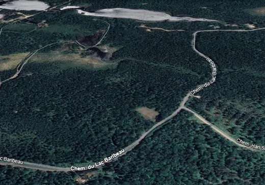 Terrain à vendre -  Ch. du Lac-Baribeau, St-Donat-De-Montcalm, J0T 2C0