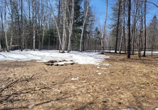 Land for sale -  Rue des Sapins, Château-Richer, G0A1N0