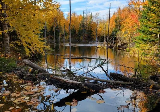 Land for sale -  Ch. du Patrimoine, St-Boniface-De-Shawinigan, G0X2L0