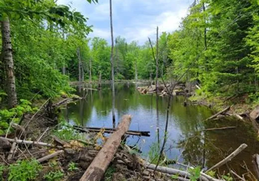 Terrain à vendre -  Ch. du Patrimoine, St-Boniface-De-Shawinigan, G0X 2L0