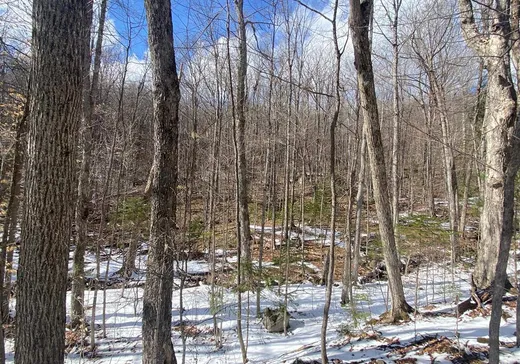 Land for sale -  Rue d'Ovesta, Cantley, J8V3B2