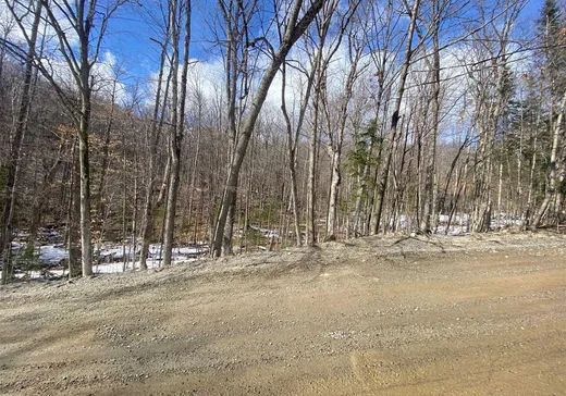 Land for Sale -  Rue d'Ovesta, Cantley, J8V 3B2