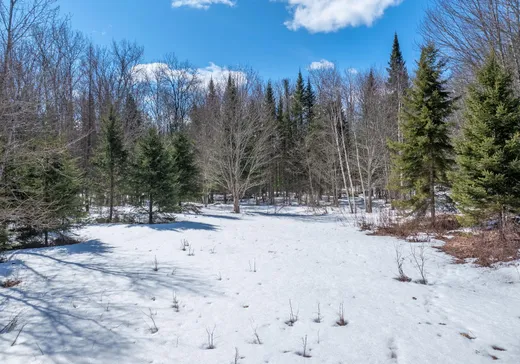 Land for sale -  Ch. de La Macaza, Rivière-Rouge, J0T1T0