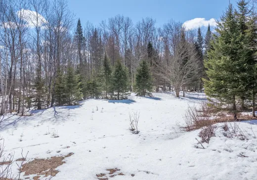 Land for Sale -  Ch. de La Macaza, Rivière-Rouge, J0T 1T0