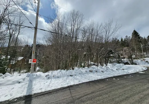 Land for Sale -  Mtée Rosa, Sainte-Agathe-des-Monts, J8C 0T7
