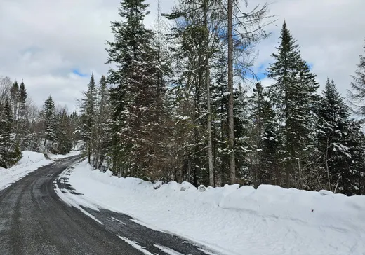 Land for Sale -  Mtée Rosa, Sainte-Agathe-des-Monts, J8C 0T7