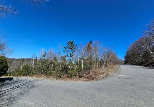 Land for Sale -  Rue du Mont-Rainer, Sainte-Agathe-des-Monts, J8C 0V6
