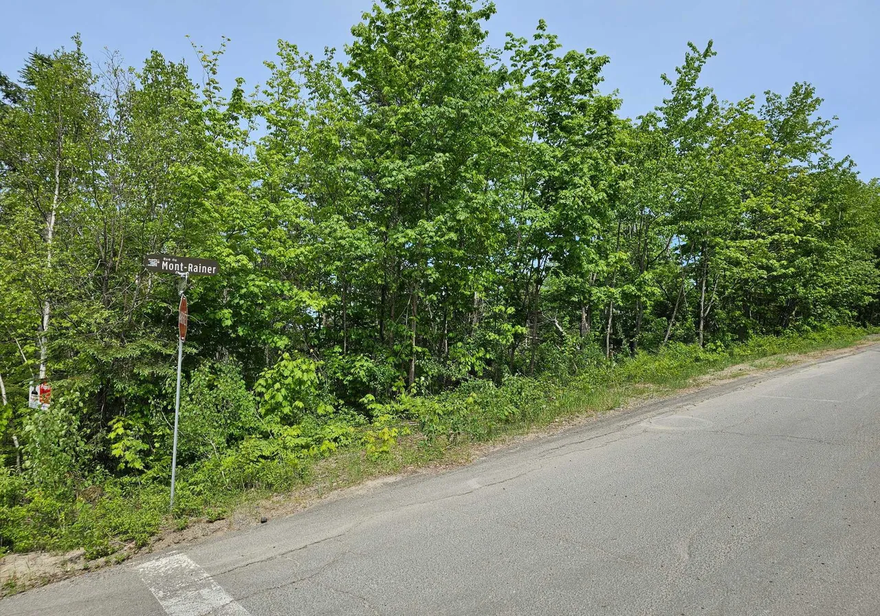 Rue du Mont-Rainer — photo 3
