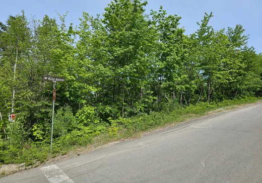 Land for Sale -  Rue du Mont-Rainer, Sainte-Agathe-des-Monts, J8C 0V6