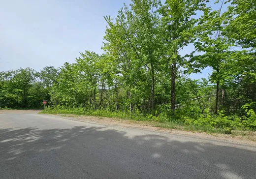 Land for Sale -  Rue du Mont-Rainer, Sainte-Agathe-des-Monts, J8C 0V6