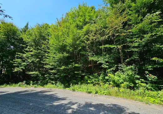 Terrain à vendre -  Rue de Chandolin, Sainte-Agathe-des-Monts, J8C2Z8