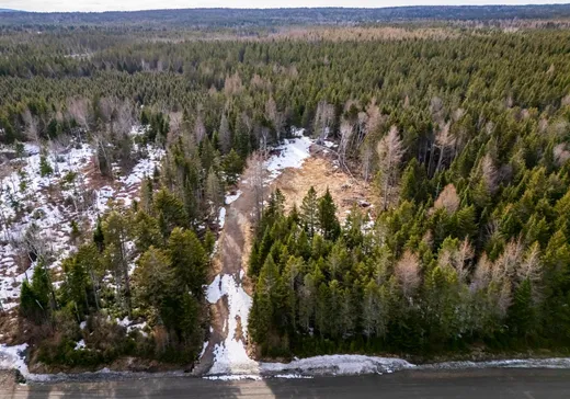 Terrain à vendre - 908 Ch. Éva, East Hereford, J0B1S0