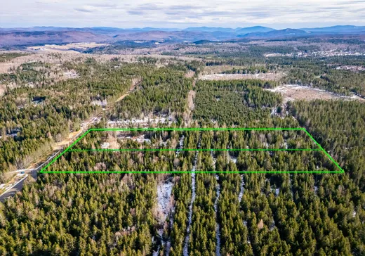 Land for Sale - 908 Ch. Éva, East Hereford, J0B 1S0