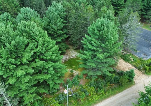 Terrain à vendre -  Mtée Lafrance, Lac-Des-Plages, J0T1K0