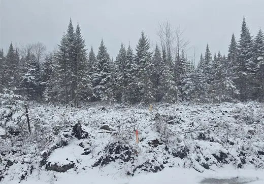 Terrain à vendre -  3e Rang, Ste-Cecile-De-Whitton, G0Y1J0