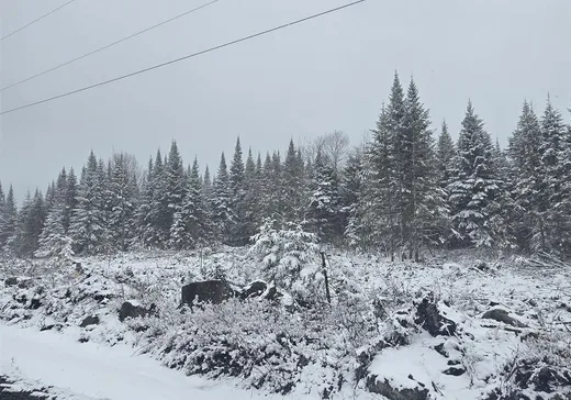 Terrain à vendre -  3e Rang, Ste-Cecile-De-Whitton, G0Y 1J0