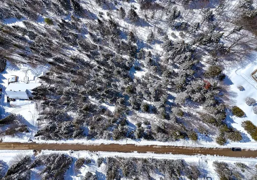 Terrain à vendre -  Rue Ovide, Val David, J0T 2N0