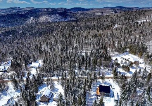 Terrain à vendre -  Rue Ovide, Val David, J0T 2N0