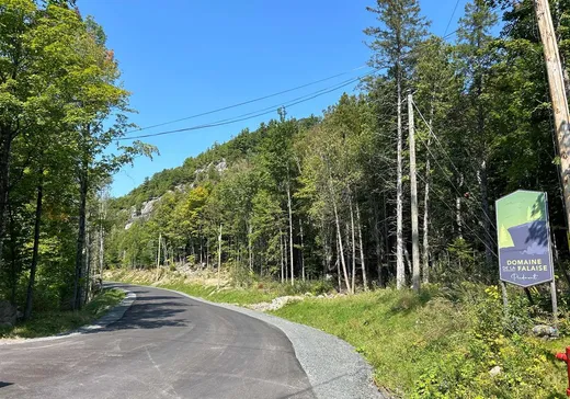 Terrain à vendre -  Ch. des Albatros, Saint-Sauveur, J0R 1K0