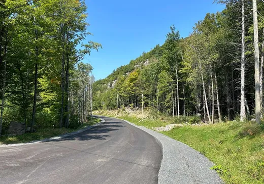 Terrain à vendre -  Ch. des Albatros, Saint-Sauveur, J0R 1K0