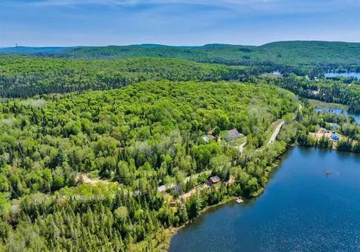 Terrain à vendre -  Ch. du Lac-Allard, Lac-Saguay, J0W 1L0