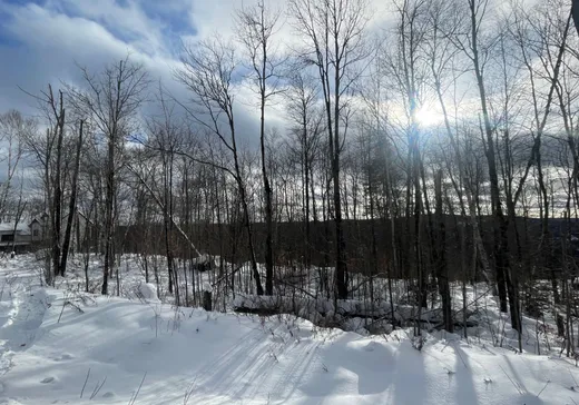 Land for sale -  Rue de l'Excursion, Morin-Heights, J0R1H0