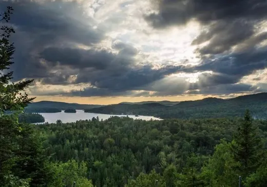 Terrain à vendre - 365 Mtée du Cerf, Entrelacs, J0T2E0